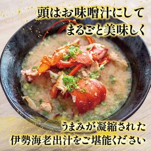ふるさと納税 【 伊勢海老 】 伊勢海老刺身用630g 高知県須崎市_3