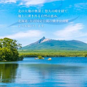 ふるさと納税 ミネラルウォーター夢水氣（290ml×40本）3セット 天然アルカリイオン水 NABI005 北海道七飯町_1