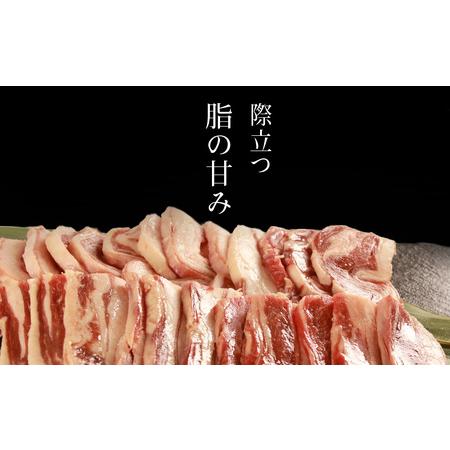 ふるさと納税 【予約】せせらぎサフォーク（国産ホゲット）バラ １５０g×３ ジンギスカンのタレ付き ＜計良商事＞ 北海道天塩町_1
