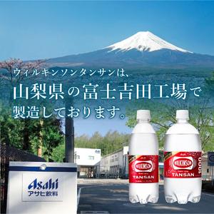 ふるさと納税 強炭酸水 【2ヶ月お届け！】ウィルキンソンタンサン PET1L×2箱 (24本入) 定期便 炭酸 山梨県富士吉田市_4