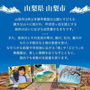 ⚠️クール便 特選シャインマスカット 化粧箱入り②箱 山梨市 シャイン