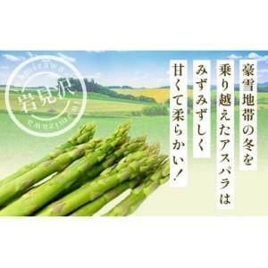 ふるさと納税 北海道岩見沢産グリーンアスパラ Lサイズ1kg【a142-001】 北海道岩見沢市_1