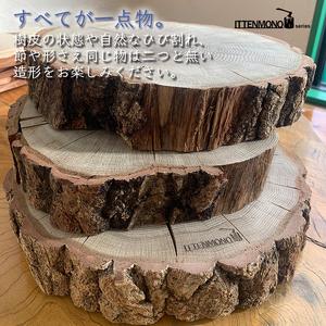 ふるさと納税 薪一 木のまんま 高さ5センチ×直径20-30センチ 重量約2kg 丸太の輪切り 伊那市 長野県 信州【011-99】 長野県伊那市の画像