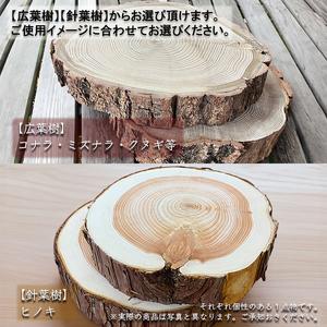 ふるさと納税 薪一 木のまんま 高さ5センチ×直径20-30センチ 重量約2kg 丸太の輪切り 伊那市 長野県 信州【011-99】 長野県伊那市の画像