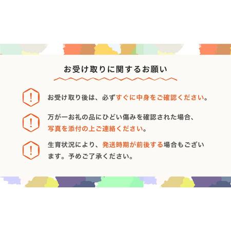 ふるさと納税 【先行予約】 さつまいも  きみまろこ 土付き  約2kg 村山市産 2026年産 令和8年産 山形県産  芋 ※沖縄・離島への配送不可  no-sp.. 山形県村山市の画像