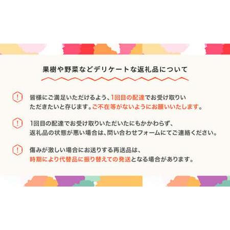 ふるさと納税 【先行予約】 さつまいも  きみまろこ 土付き  約2kg 村山市産 2026年産 令和8年産 山形県産  芋 ※沖縄・離島への配送不可  no-sp.. 山形県村山市の画像