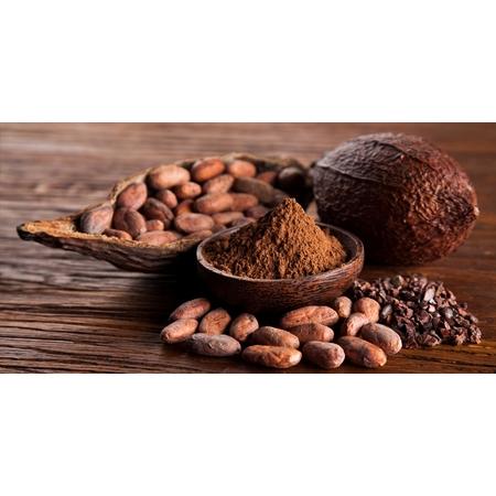 ふるさと納税 TWストレートココア 1,000g×6本 ピュアココアパウダー100