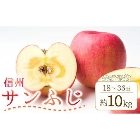 ふるさと納税 りんご サンふじ 約10kg (18~36玉) |りんご 長野県千曲市