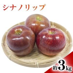 ふるさと納税 りんご シナノリップ(長野県オリジナル品種) 約3kg | りんご 長野県千曲市