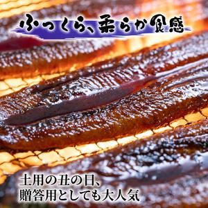 ふるさと納税 【通常用】【3回定期便】特大 極上国産うなぎ四万十桜　蒲焼き約210g×5尾 定期便 鰻 高知県南国市_1