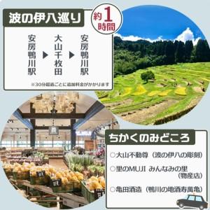 ふるさと納税 【千葉県鴨川市】観光タクシー貸切利用券 ３時間（定員４名／１台）　[0081-0001] 千葉県鴨川市_1