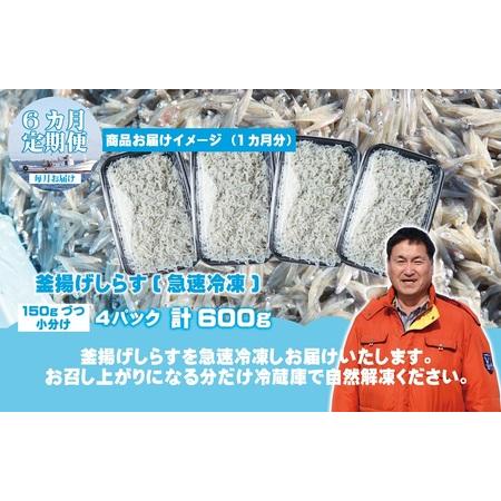 ふるさと納税 【定期便】減塩 釜揚げしらす 600g×全6回 大阪府泉佐野市の画像