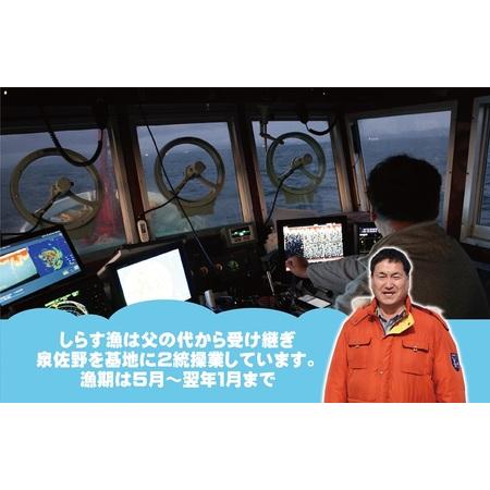 ふるさと納税 【定期便】ちりめん山椒しらす 600g×全6回 大阪府泉佐野市の画像