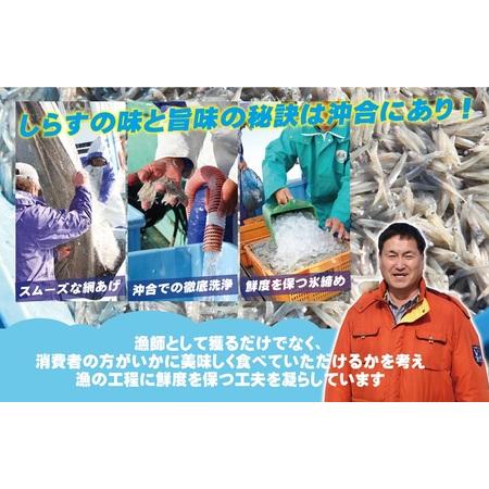 ふるさと納税 【定期便】ちりめん山椒しらす 600g×全6回 大阪府泉佐野市の画像