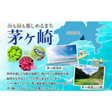 ふるさと納税 【2026年9月30日で掲載終了】純金製 K24 CHIGASAKI SOUTHERN C オブジェM 茅ヶ崎 サザン C ちがさきサザンビーチ 純金 貴金属 .. 神奈川県茅ヶ崎市の画像