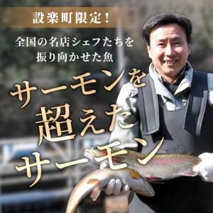 ふるさと納税 国産サーモン 生食可 無添加 絹姫サーモン カット 400g（100g×４) スペシャルトラウトサーモン 冷凍フィーレトラウトサーモン.. 愛知県設楽町_1