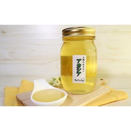 ふるさと納税 【定期便 6回】国産 アカシアはちみつ 260g×6回 | 養蜂家 齊藤兄弟 Bee concierge ビーコンシェルジュ はちみつ 蜂蜜 ハチミ.. 千葉県君津市の画像