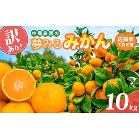 ふるさと納税 [訳あり]中尾農園の夢みるみかん 5kg [2026年9月下旬~2027年1月下旬発送予定]みかん ミカン 蜜柑 柑橘 温州みかん フルーツ く.. 佐賀県太良町