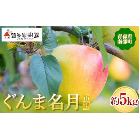 ふるさと納税 ぐんま名月(中玉) 約5kg [18〜20個入] [留長果樹園] F21U-216 青森県南部町