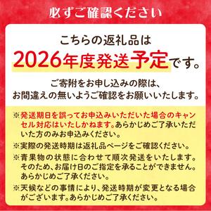 ふるさと納税 《先行受付》品種おまかせ 大玉白桃 約3kg【特秀】 （8〜10玉）【2026年8月上旬頃〜発送予定】 001-100 山形県大江町の画像