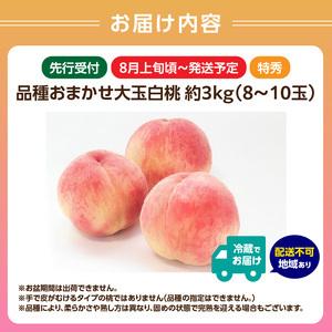 ふるさと納税 《先行受付》品種おまかせ 大玉白桃 約3kg【特秀】 （8〜10玉）【2026年8月上旬頃〜発送予定】 001-100 山形県大江町の画像