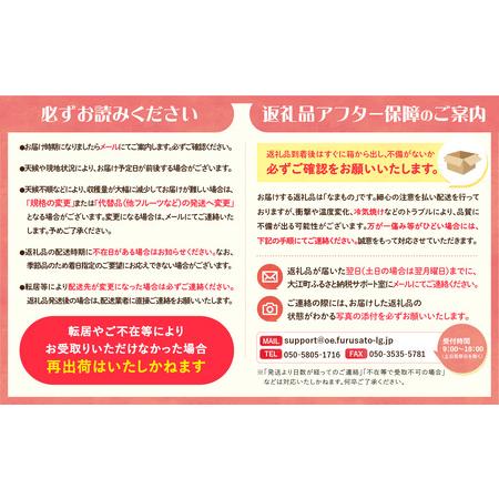 ふるさと納税 《先行受付》品種おまかせ 大玉白桃 約3kg【特秀】 （8〜10玉）【2026年8月上旬頃〜発送予定】 001-100 山形県大江町の画像