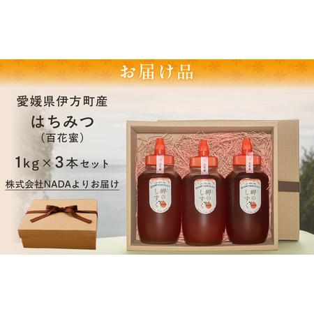 ふるさと納税 【百花蜜】みかん農園のはちみつ 1kg×3本入 ※離島への配送不可 IKTC014 愛媛県伊方町_3