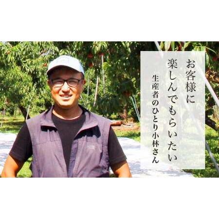 ふるさと納税 なつっこ 約3kg 7〜12玉 ［おぶせファーマーズ］桃 もも モモ フルーツ 果物 クール便 冷蔵便 長野県産 信州産  令和8年産【2026.. 長野県小布施町の画像