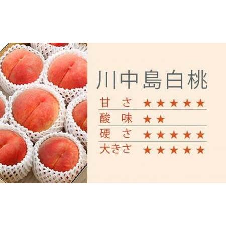 ふるさと納税 川中島白桃 約3kg 6〜12玉 ［小布施屋］ 桃 白桃 もも モモ フルーツ 果物 令和8年産 【2026年8月下旬〜9月上旬発送】［A-6］ 長野県小布施町の画像