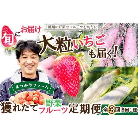 ふるさと納税 [野菜]旬野菜3回定期便|さつまいもコーンいちご 京都府京丹後市