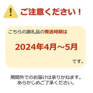 ふるさと納税 【2024年4月〜5月発送分先行受付】春どり特大アスパラ(1本50g以上・1kg）_H049(R6) 山形県長井市｜furunavi｜02