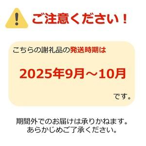 ふるさと納税 【2025年9月〜10月発送分先行受付】「秀品」山形のぶどう品種おまかせ約4kg(約2kg&times;2種)_H056(R7) 山形県長井市