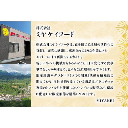 ふるさと納税 鶏肉 定期便 むね肉 若鶏 鶏むね肉 4kg 6回 総計24kg [ミヤケイフード 宮崎県 美郷町 31bp0015] 宮崎県美郷町の画像