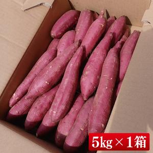 ふるさと納税 【2025年9月より順次発送】さつまいも(シルクスイート) 約5kg｜さつまいも 芋 サツマイモ シルクスイート 先行予約 茨城県 行方市(.. 茨城県行方市の画像
