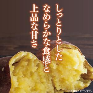 ふるさと納税 【2025年9月より順次発送】さつまいも(シルクスイート) 約5kg｜さつまいも 芋 サツマイモ シルクスイート 先行予約 茨城県 行方市(.. 茨城県行方市の画像