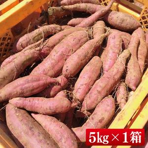 ふるさと納税 【2025年9月より順次発送】さつまいも(紅はるか) 約5kg｜さつまいも 芋 サツマイモ 紅はるか 先行予約 茨城県 行方市(HP-1) 茨城県行方市の画像