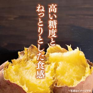 ふるさと納税 【2025年9月より順次発送】さつまいも(紅はるか) 約5kg｜さつまいも 芋 サツマイモ 紅はるか 先行予約 茨城県 行方市(HP-1) 茨城県行方市の画像