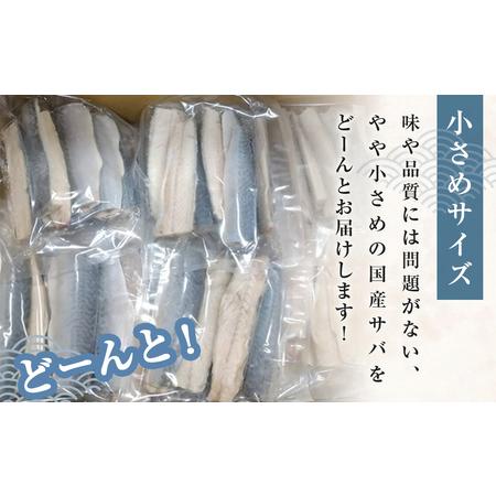 ふるさと納税 小さな 国産 塩サバ 3kg ( 200g × 15パック ) 冷凍 サバ 鯖 魚 青魚 塩さば 切り身 ご家庭用 焼き魚 焼魚 おかず お弁当 焼く.. 宮城県石巻市 |  | 02