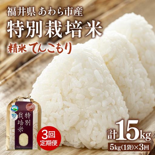 ふるさと納税 [先行予約][令和8年産]定期便 ≪3ヶ月連続お届け≫ 化学肥料不使用 てんこもり 精米 5kg × 3回(合計15kg) / 白米 米 .. 福井県あわら市