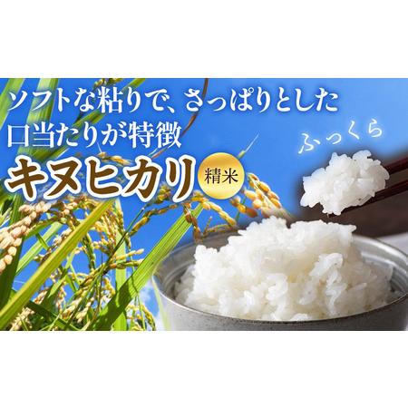 ふるさと納税 ＜令和7年度 米 キヌヒカリ 精米 5kg＞ 2025年産 きぬ