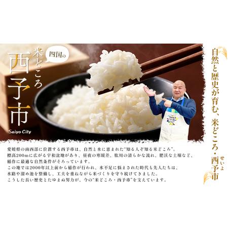 ふるさと納税 ＜令和7年度 米 キヌヒカリ 精米 5kg＞ 2025年産 きぬ