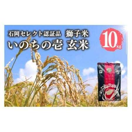 ふるさと納税 [令和7年産]獅子米 いのちの壱 玄米 10kg B02-019 茨城県石岡市