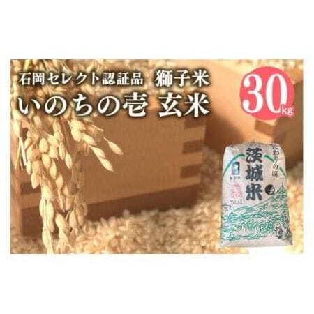 ふるさと納税 [令和7年産]獅子米 いのちの壱 玄米 30kg 岡田ファーム コンテスト受賞米 お米 米 おこめ ブランド米 30キロ 国産 単一原料米 コ.. 茨城県石岡市