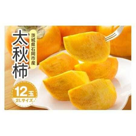 ふるさと納税 [ 2026年 先行予約 ] 太秋柿 2L 12玉(鈴木柿園) 柿 甘い柿 太秋かき 大玉 カキ 甘い 果物 フルーツ くだもの カキ 太秋かき 秋.. 茨城県石岡市