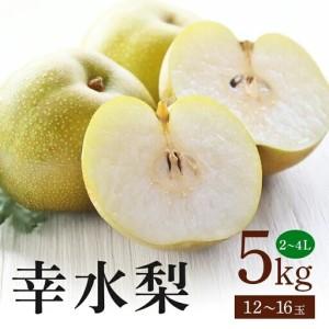 ふるさと納税 幸水梨 箱込約 5kg(JA新ひたち野)梨 約 12玉 〜 16玉 (B01-009) 茨城県石岡市