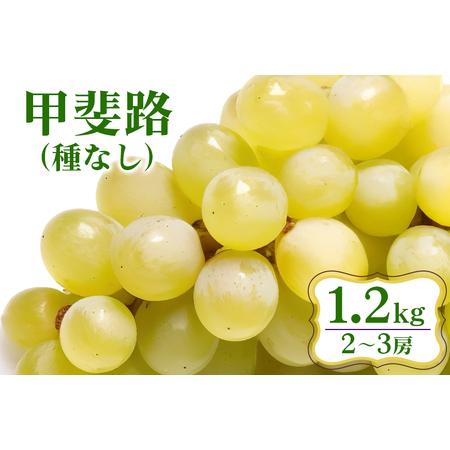 ふるさと納税 [ 2026年 先行予約 ] 甲斐路 ( 種なし ) 1.2kg 開田ぶどう園 2房 〜 3房 ぶどう ブドウ 国産 果物 くだもの 葡萄 フルーツ 1.2キ.. 茨城県石岡市