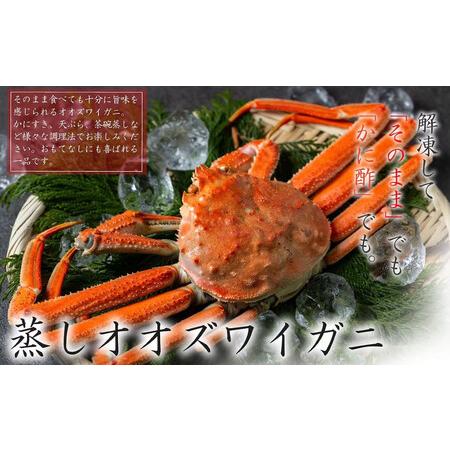 ふるさと納税 【訳あり】「蒸し」オオズワイガニ　3杯　約600g ｜ オオズワイガニ 北海道様似町