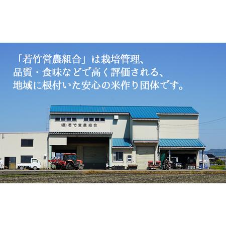 ふるさと納税 【R8年度産米 新米予約】 [人気のブランド米]コシヒカリ 「若竹のお米 」　20kg（5kg×4）【精米】｜新米 先行予約 令和8年産.. 富山県射水市_3