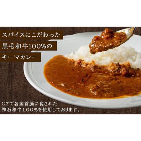 ふるさと納税 黒毛和牛キーマカレー 200g×15袋 [BACI006]ビーフ カレーライス 広島県福山市の画像