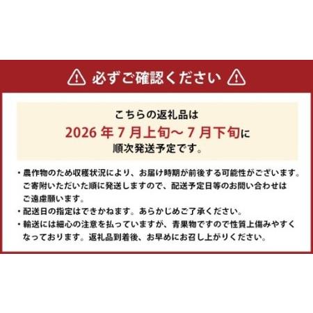 ふるさと納税 清水白桃 エース 3玉 約750g 【2026年7月上旬〜7月下旬発送予定】 ／ 白桃 桃 もも モモ 岡山県美咲町の画像